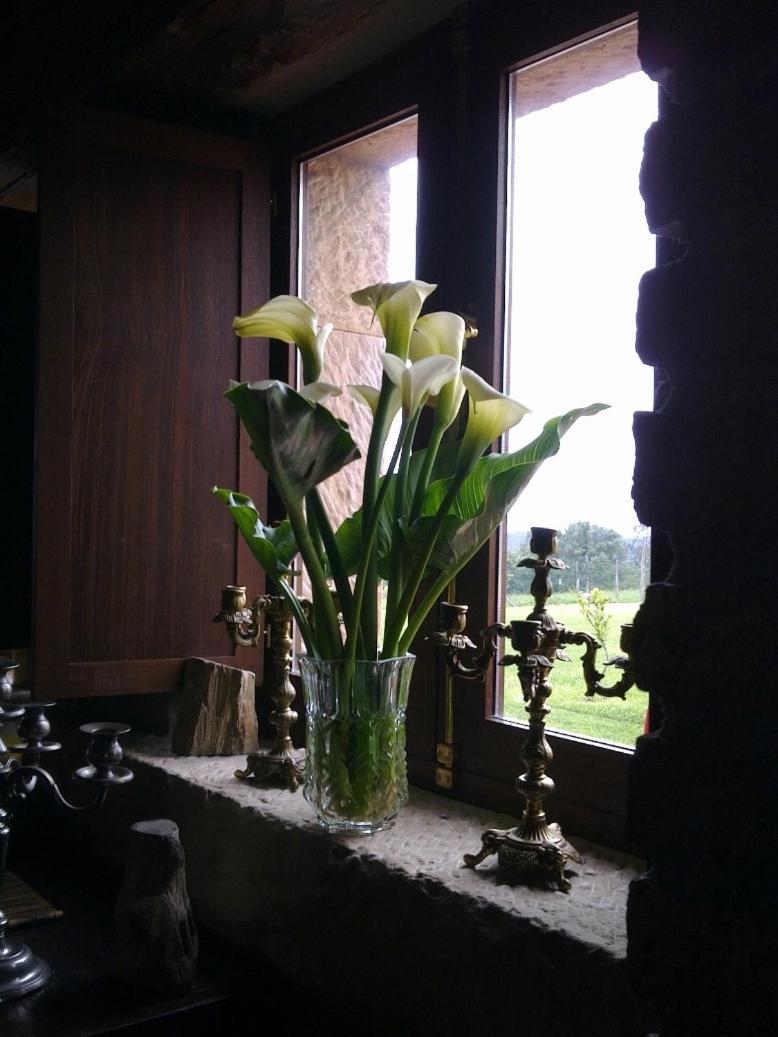 Hotel Casona Gamonales 3*